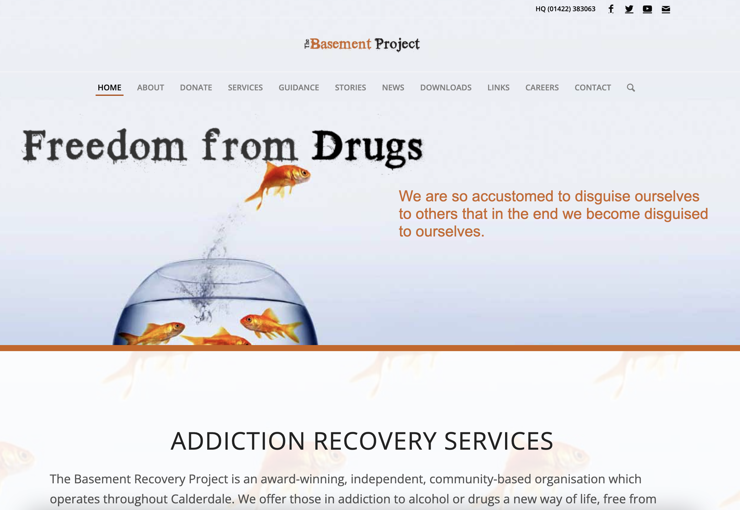 Freedom from drugs website