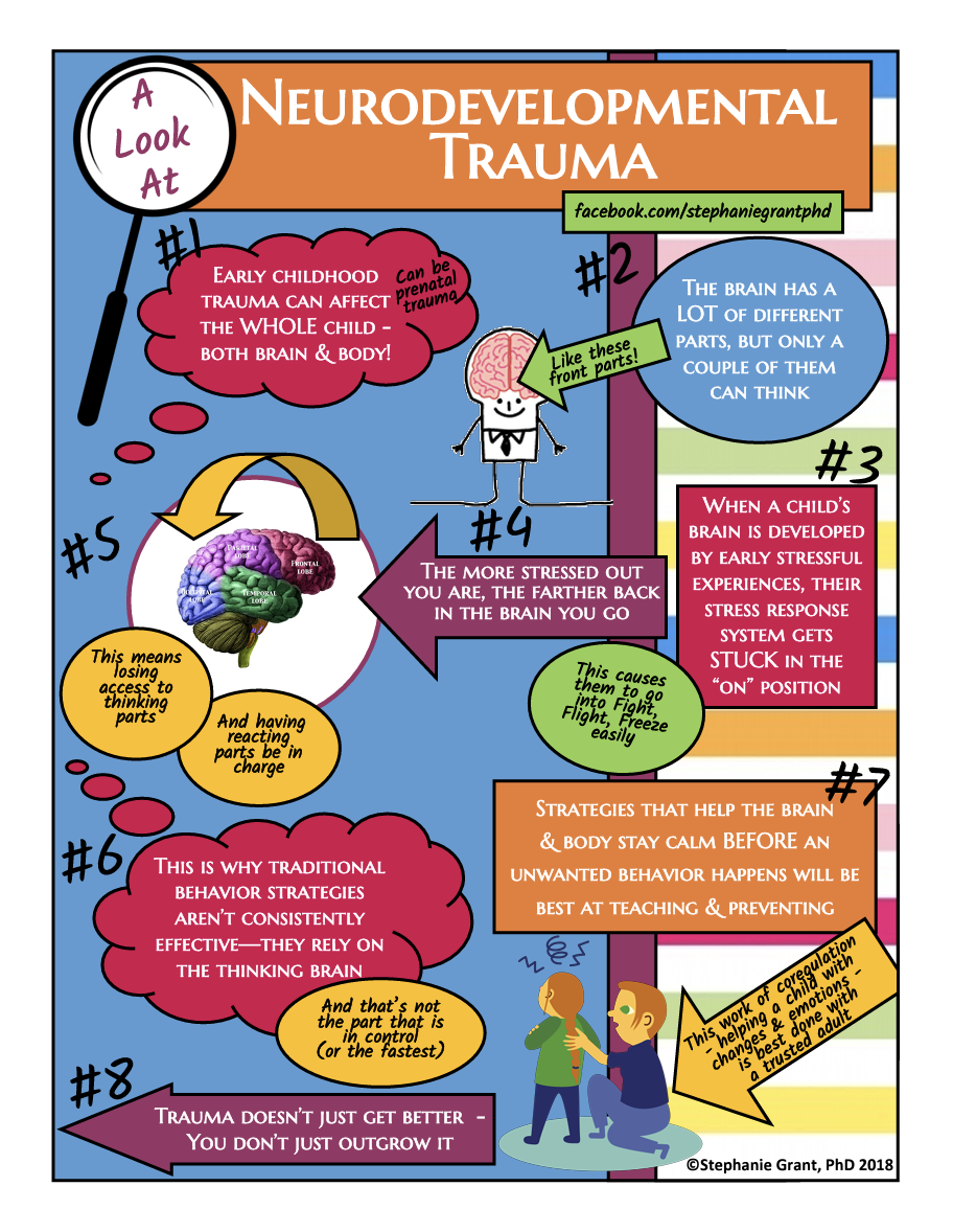 Neurodevelopmental Trauma Infographic
